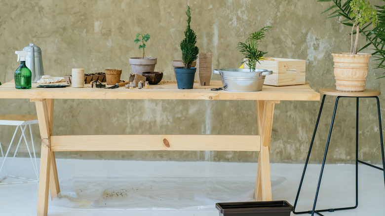 A wooden table laden with plants and gardening tools