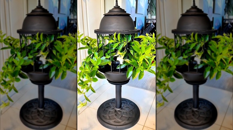 A black birdcage planter with a plant inside