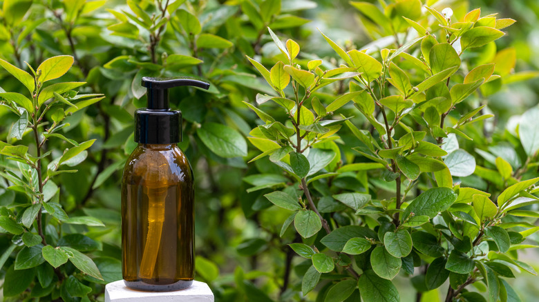 Empty soap-dispenser bottle resting on wooden surface outside