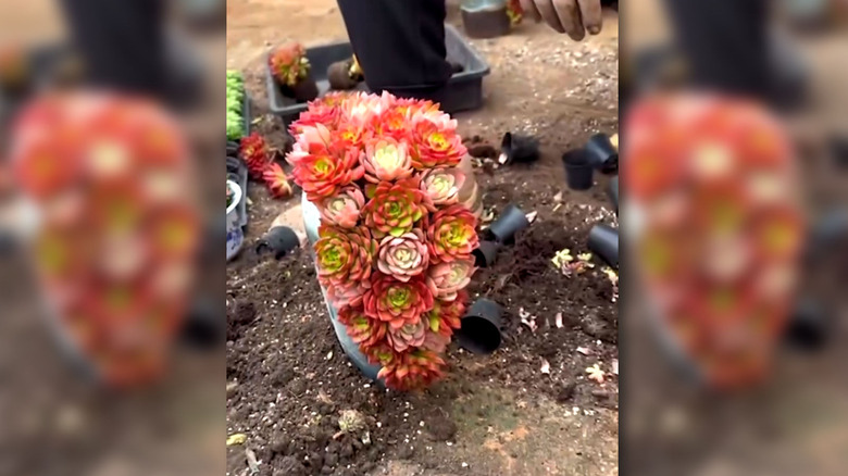 A planter made from a broken vase