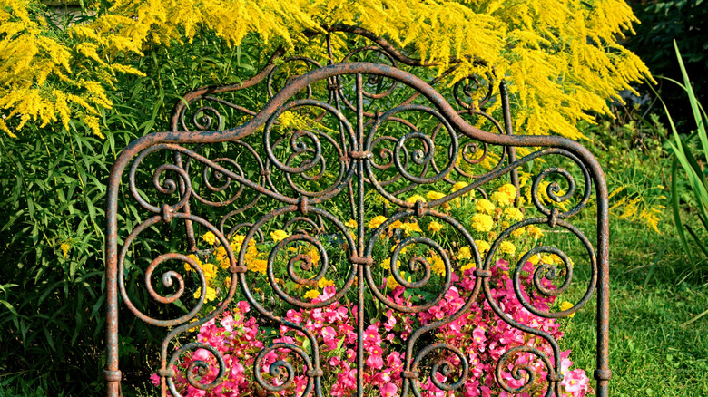 metal bed frame with pink and yellow flowers planted inside