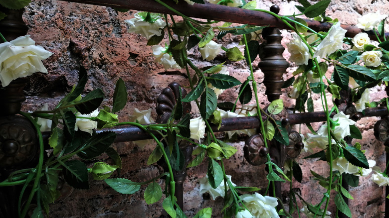 metal frame with vine with white flowers