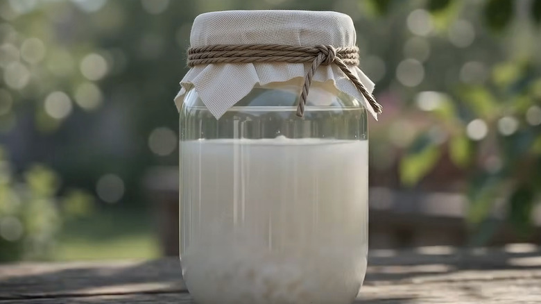 A jar of rice water fermenting outside