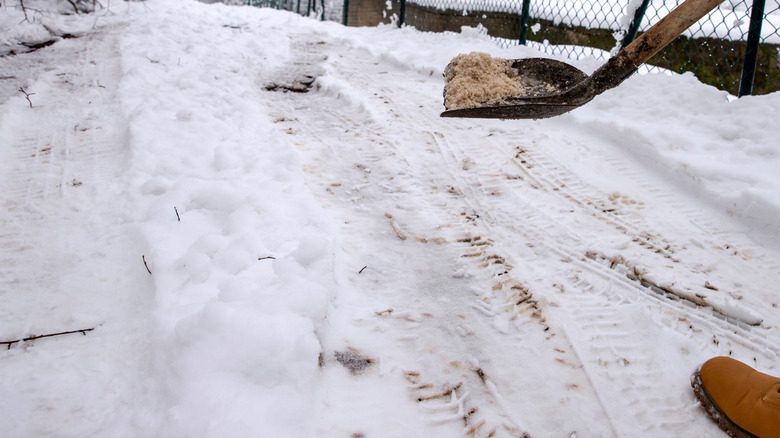 shovel full of salt on snowy driveway