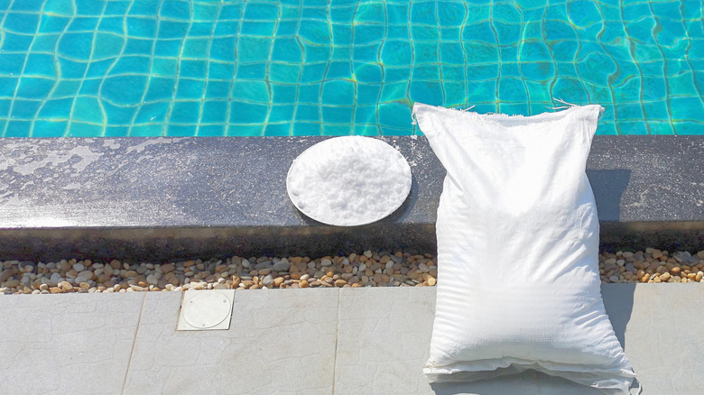 Bag of salt next to saltwater pools