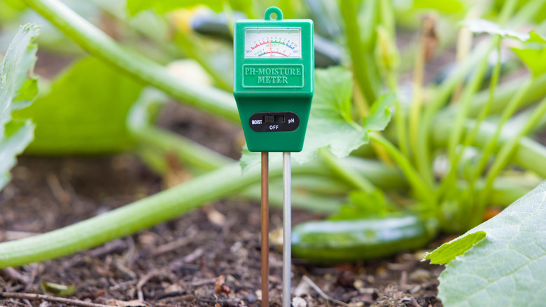 Green moisture meter in the soil