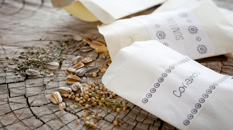 Seeds spilling onto patio stone from labeled envelopes