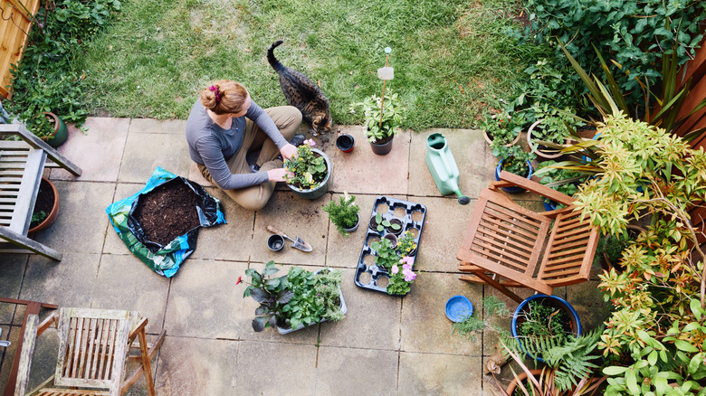 Women potting plants on a patio