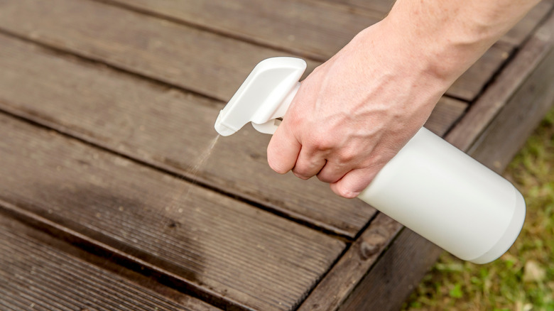 Spraying wooden deck with spritzer bottle