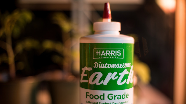 Squeeze bottle of diatomaceous earth