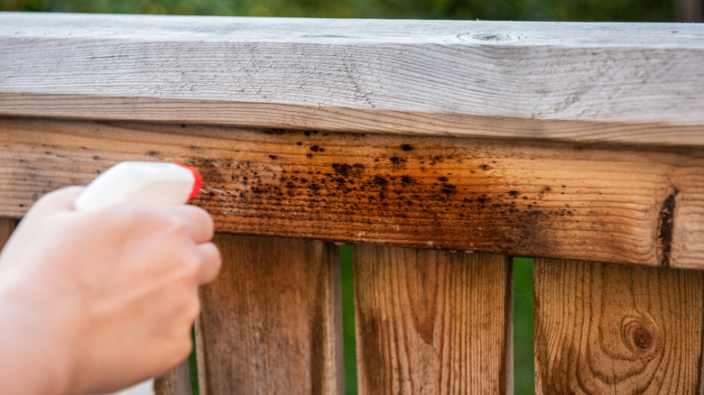 spraying wooden deck with mister bottle