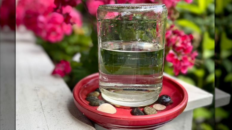 A DIY birdbath made using a pickle jar and plant saucer