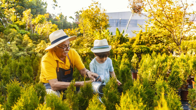 Grandfather and grandson watering garden in fall