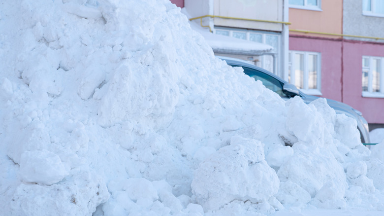 huge snow berm on front lawn