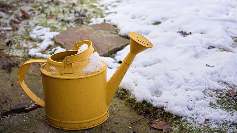 Water can in snow