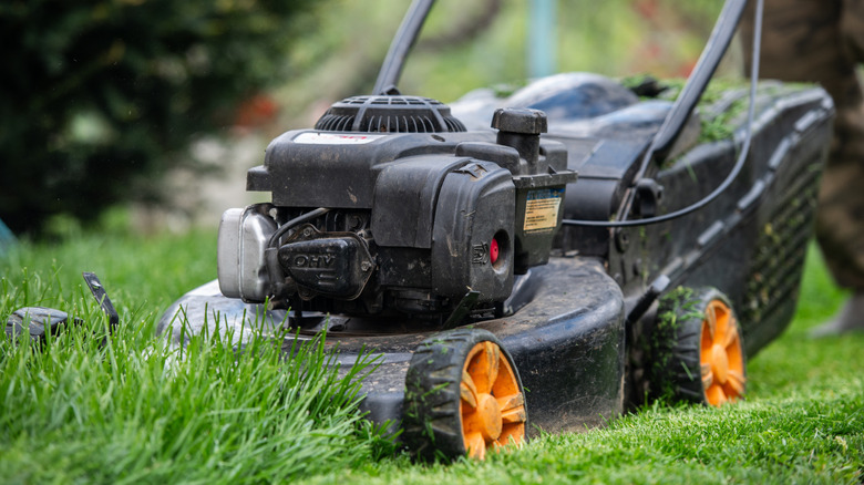 Black push mower cutting long grass