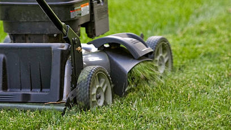 Mower with a side discharge spraying grass clippings