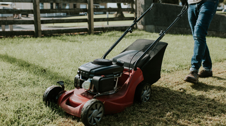 A man pushing a red mowing push mower over grass.