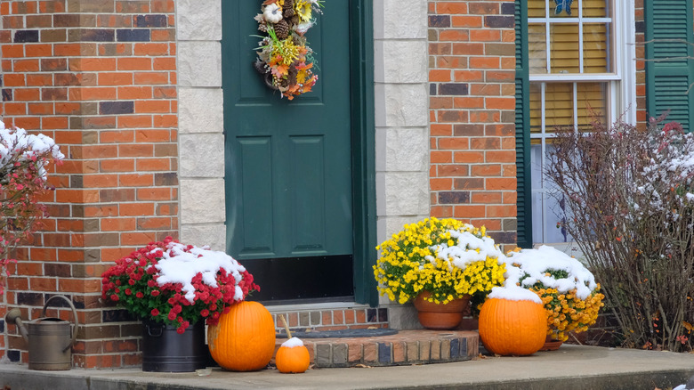 Snow-covered pumpkins on door step