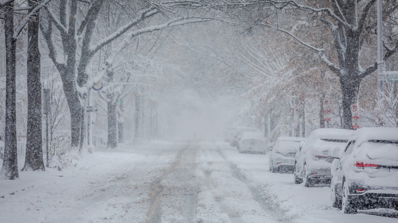 Snowy road with cars parked on the side