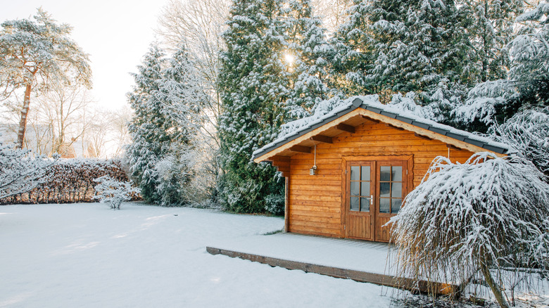 Small wooden house and garden covered in snow