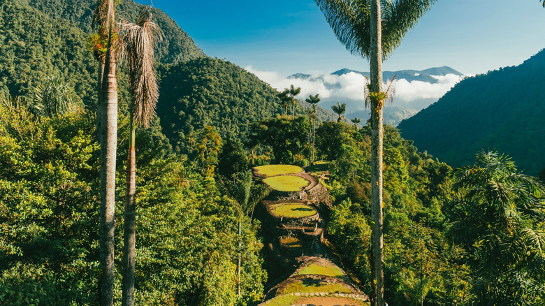 Ruins and a jungle landscape at the Lost City, Colombia