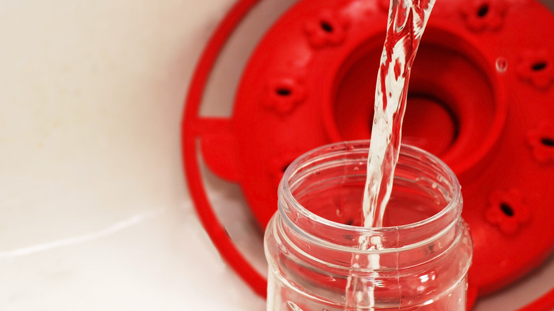 Pouring hummingbird nectar into feeder