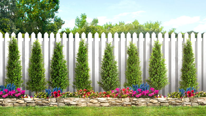 A tall white fence lined with shrubs and flowers