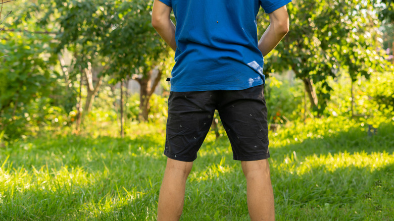 A man in shorts and a T-shirt in the woods, facing away from the camera