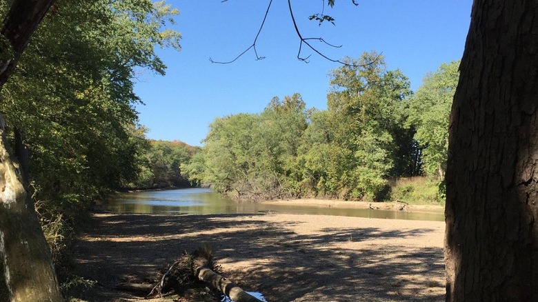 Riverfront with trees and shrubs lining the banks