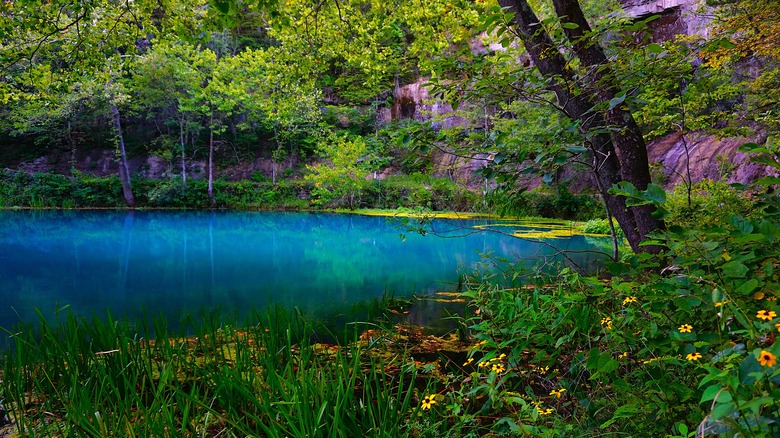 a blue pond and foliage in the Ozark National Scenic Riverways