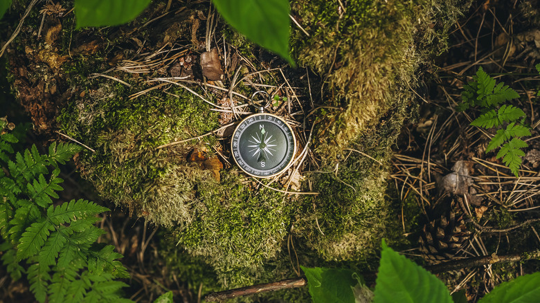 Compass on forest floor