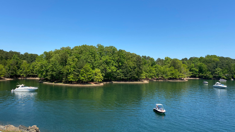 Boats on Lake Lanier