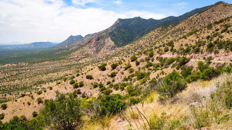 Coronado National Memorial near Sierra Vista, Arizona