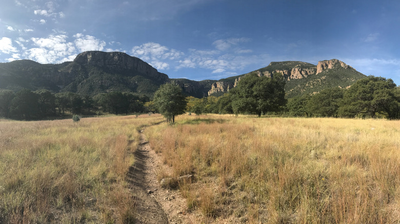 Huachuaca Nature Trail in Sierra Vista