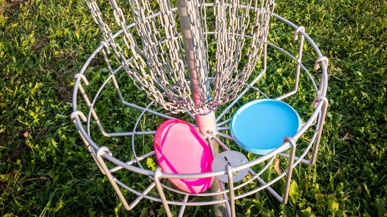 Discs in a disc golf basket