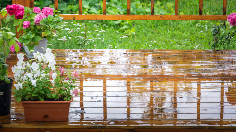 Deck in the rain with pink and white flowers in pots