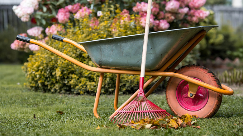 A wheelbarrow and garden rake