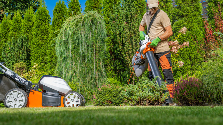 Person using electric vacuum on lawn with mower
