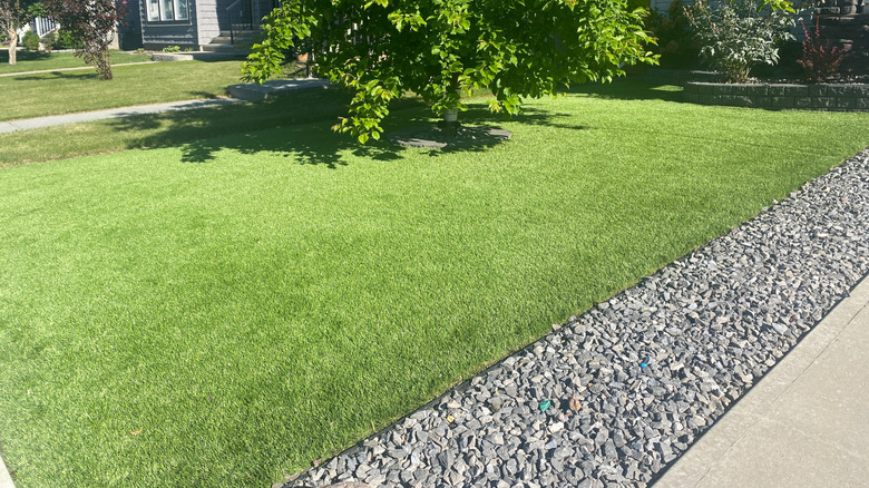 A beautiful lawn with artificial grass and a strip of gravel along the right side of the yard along the driveway