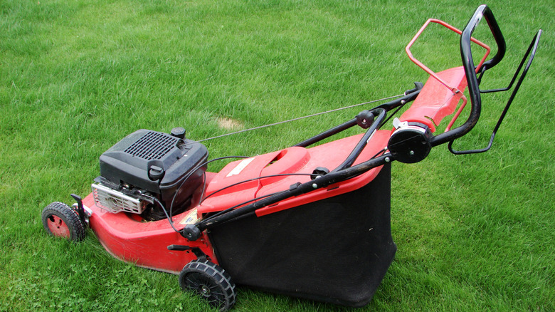lawn mower with mulcher