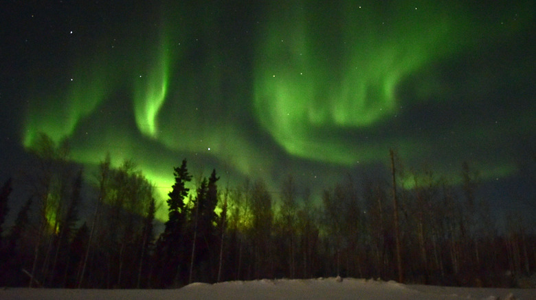 Northern Lights in alaska