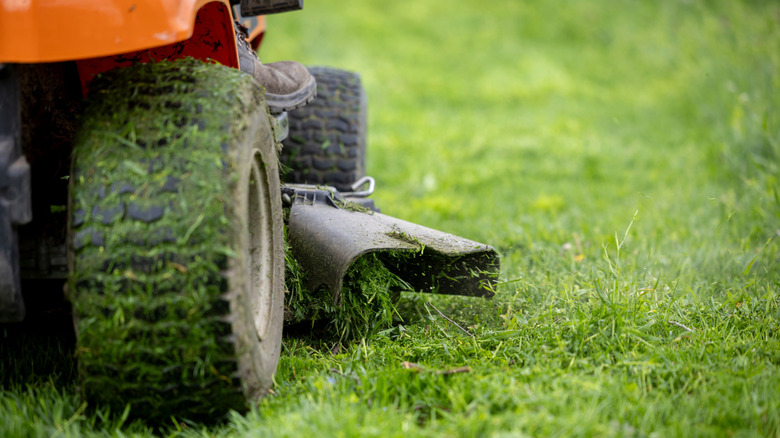 Orange riding lawn mower seen from behind