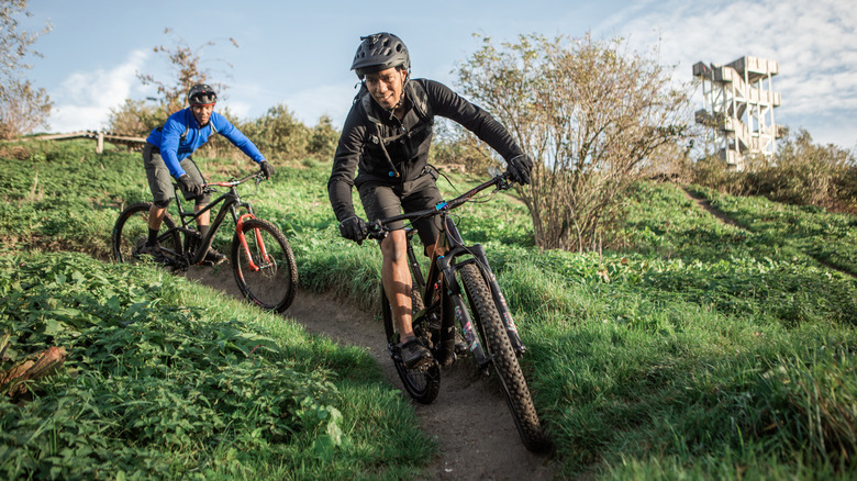 Mountain bikers on a single track trail