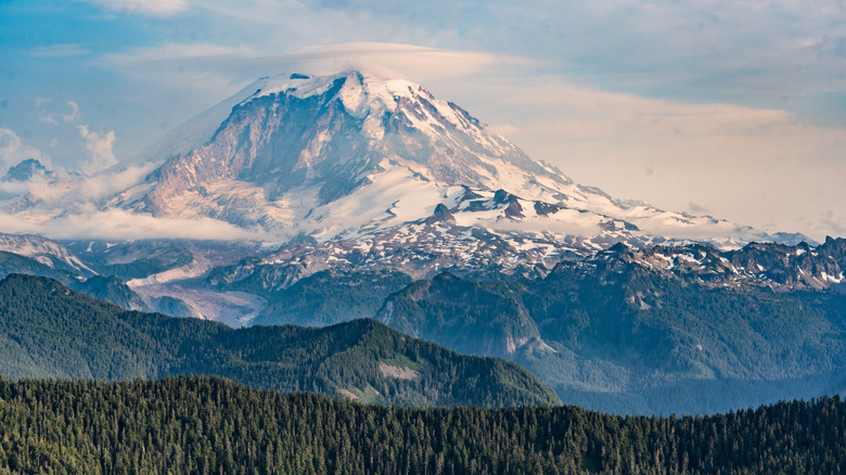 A dramatic landscape with the snow-capped Mount Rainier in the distance