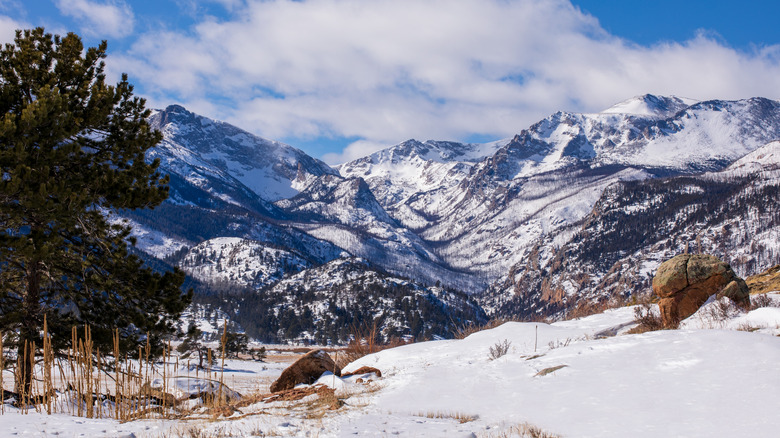 Snowy ground with mountains in the distance at Rocky Mountain National Park