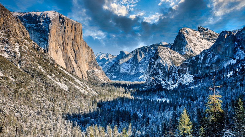 Wintry scene of mountains and trees at Yosemite National Park