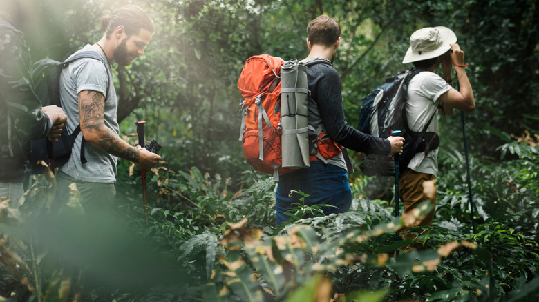 Three people on a hike with gear