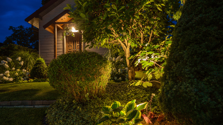 The edge of a garden being highlighted by hidden lights