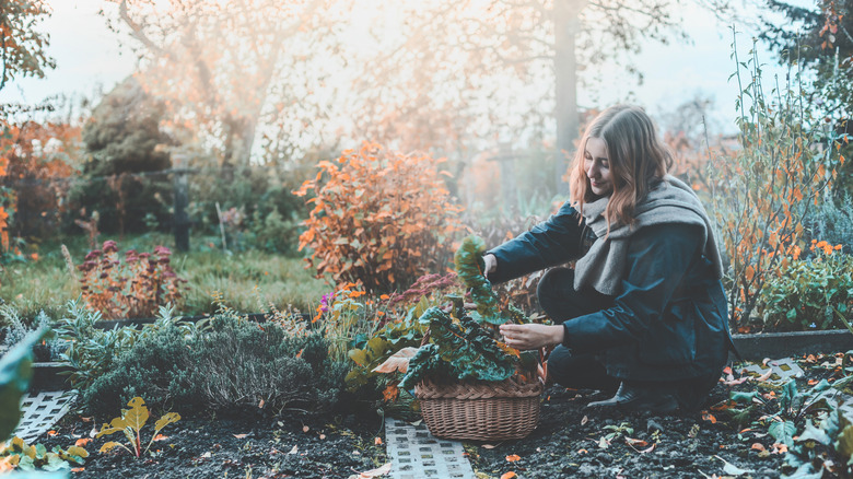 Woman gardening in fall